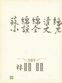 苏绵绵清纯校花小说全文免费阅读笔封面