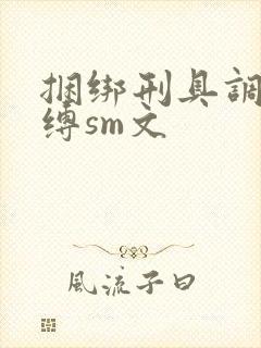 捆绑刑具调教束缚sm文