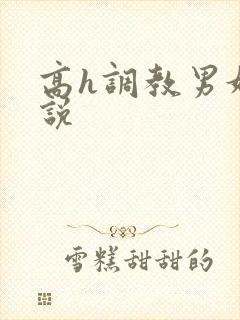 高h调教男奴小说