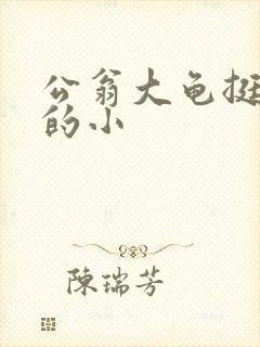 公翁大龟挺进我的小