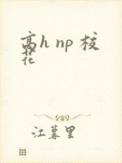 高h np 校花