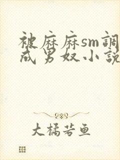 被麻麻sm调教成男奴小说