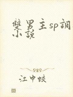 双男主sp调教小说