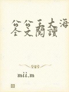 公公王大海书娴全文阅读封面