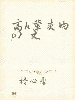 高h荤爽肉〈np〉文