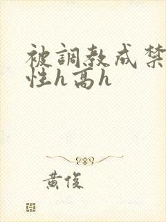 被调教成禁脔双性h高h