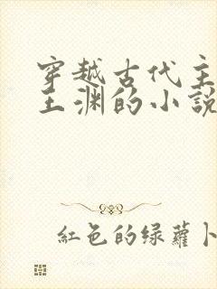 穿越古代主角叫王渊的小说封面