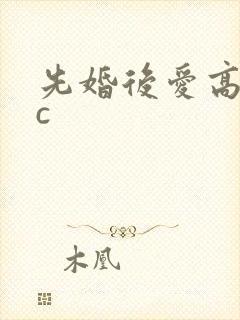 先婚后爱高hsc