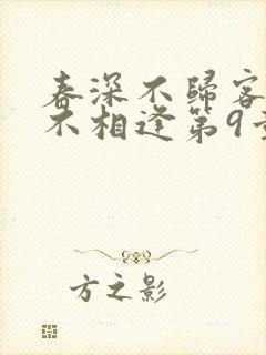 春深不归客清梦不相逢第9章