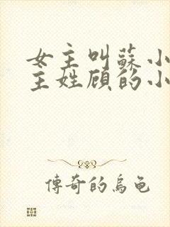 女主叫苏小小男主姓顾的小说封面
