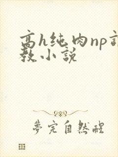 高h纯肉np调教小说