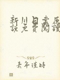 新川日常原著小说免费阅读