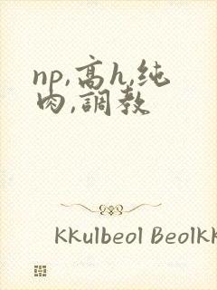 np,高h,纯肉,调教