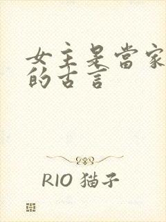 女主是当家主母的古言