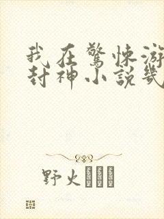 我在惊悚游戏里封神小说几本完结