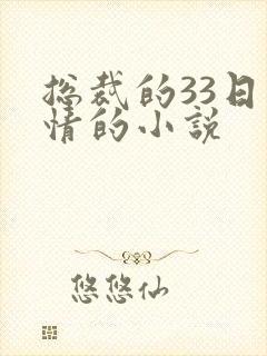 总裁的33日索情的小说封面
