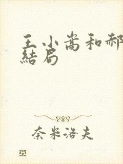 王小嵩和郝梅的结局