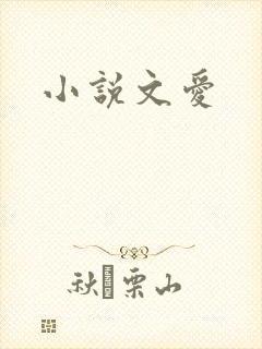 小说文爱