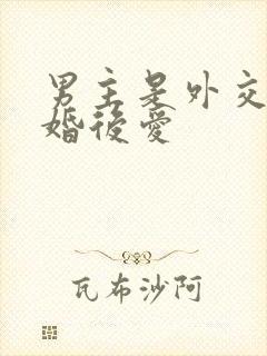 男主是外交官先婚后爱
