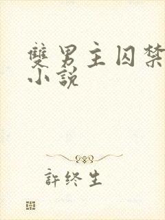 双男主囚禁调教小说