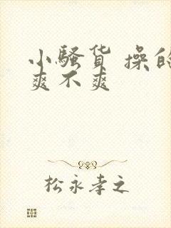 小骚货 操的你爽不爽封面