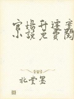 官场升迁实录 小说免费阅读封面