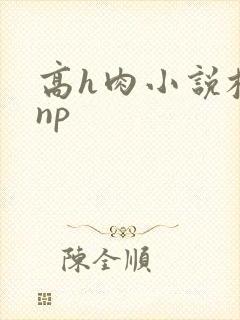 高h肉小说校园np封面