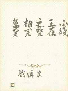 万相之王小说免费完整在线阅读