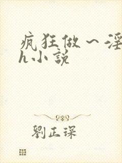 疯狂做～淫h文h小说