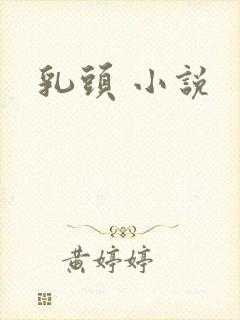 乳头 小说封面