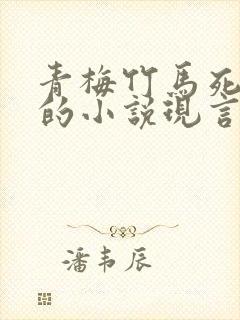 青梅竹马死对头的小说现言