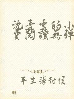 沈青云的小说免费阅读无弹窗封面