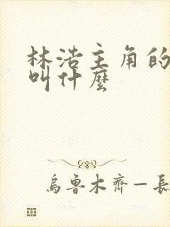 林浩主角的小说叫什么