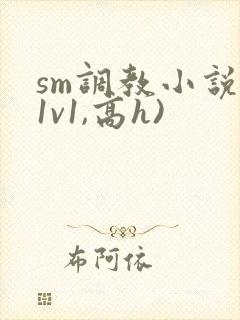 sm调教小说(1v1,高h)