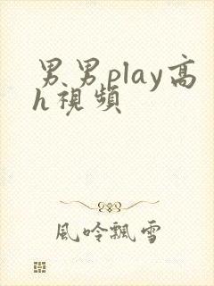 男男play高h视频