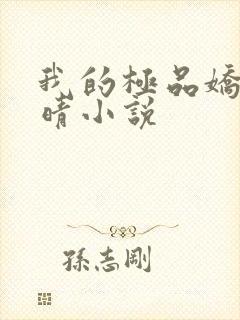 我的极品娇妻苏晴小说