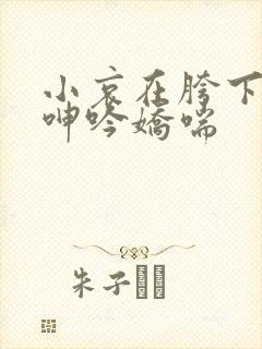 小哀在胯下疯狂呻吟娇喘