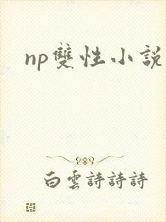 np双性小说h