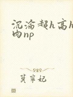 沉沦超h高h污肉np