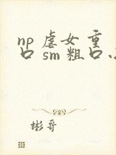 np 虐女 重口 sm 粗口小说