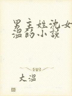 男主姓沈女主姓温的小说