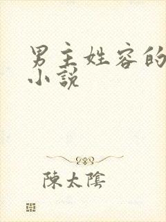 男主姓容的总裁小说封面