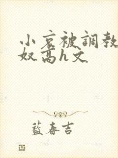 小哀被调教成肉奴高h文