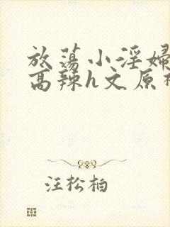 放荡小淫妇h文高辣h文原神