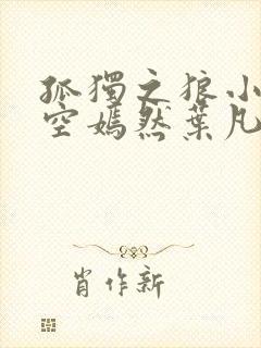 孤独之狼小说司空嫣然叶凡