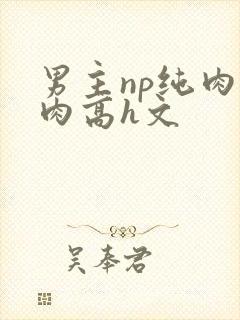 男主np纯肉巨肉高h文