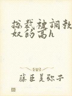 总裁被调教成贱奴的高h