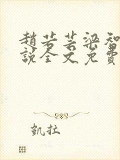 赵若芸梁智熏小说全文免费阅读封面