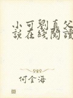 小可刘真父女小说在线阅读封面