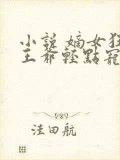 小说 嫡女狂妃王爷轻点宠